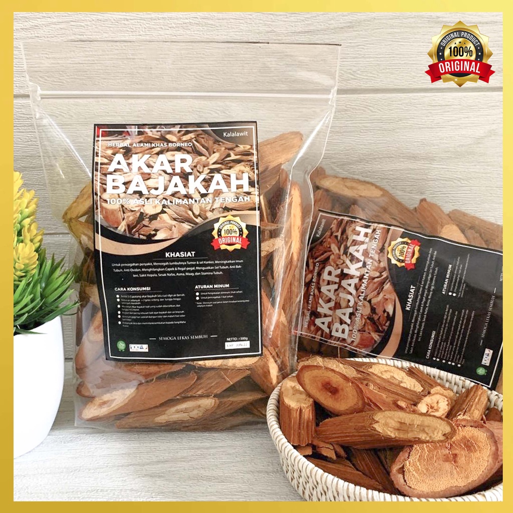 

1Kg Akar Bajakah KALALAWIT Siap Seduh Asli kalimantan 100% Original Obat kanker tumor