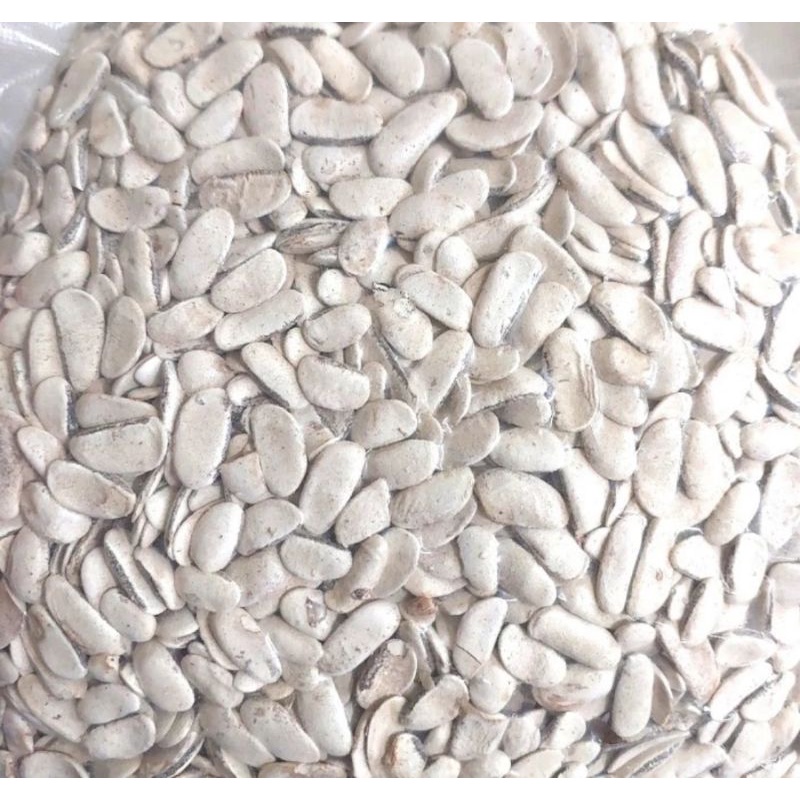 

Biji Mahoni KUPAS 500 gram - Biji Buah Mahoni KUPAS