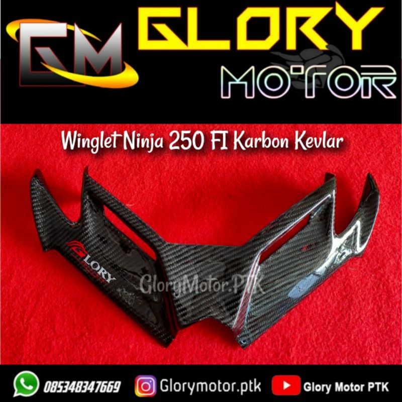 Winglet Ninja 250 FI Old Karbon Kevlar Glory