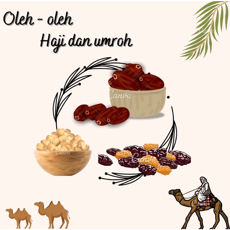 

kacang arab