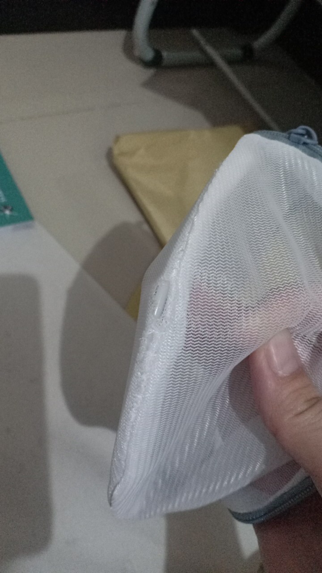 Laundry Bra Bag Segi