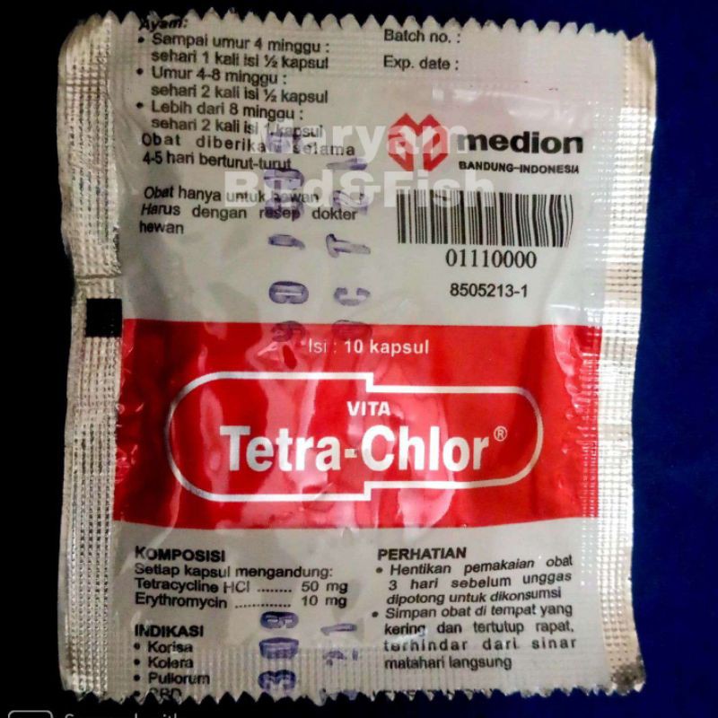 OBAT AYAM NGOROK BERAK KAPUR TETRA CHLOR sch