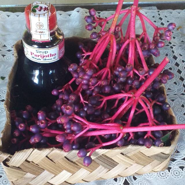 

Sirup,buah,parijotho,parijotjo muria