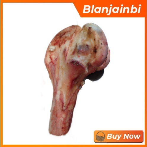 

Tulang Sapi Balung/Sumsum Bandung Area