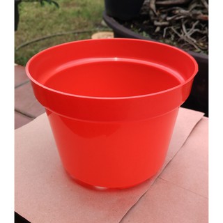 Pot Bunga 17 cm Pot Semai Bonsai Bibit Bisa Hidroponik Pot Bunga 17 cm Pot Semai Bonsai Bibit Bisa Hidroponik