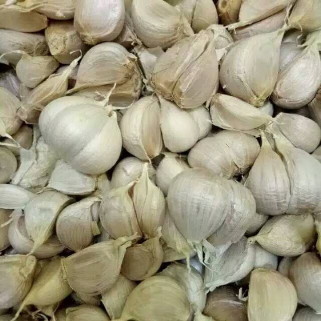 

Puri Segar Shop, BAWANG PUTIH KATING 250 gr
