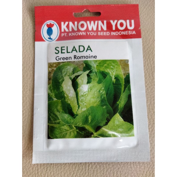 Benih selada green romaine known you seed kemasan asli
