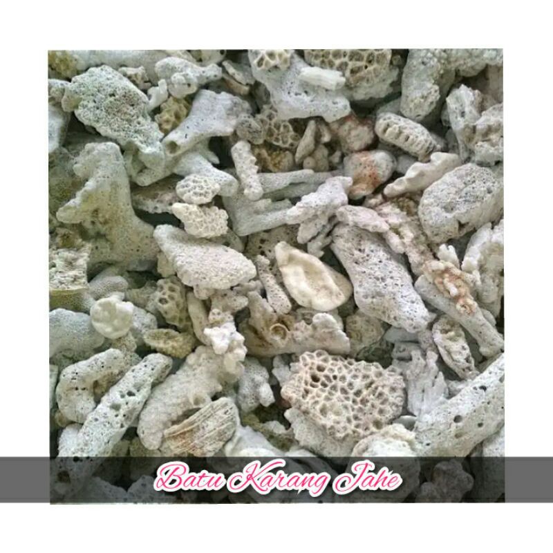 

Batu Karang Jahe