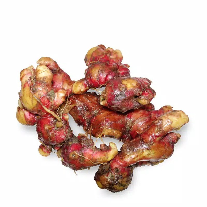 

Jahe Merah Murah Dan Fresh