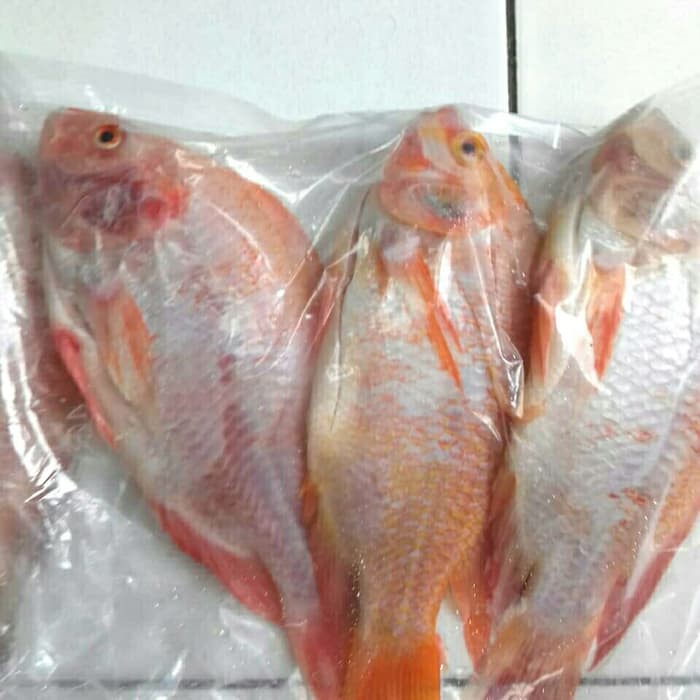 

IKAN NILA MERAH [1kg]
