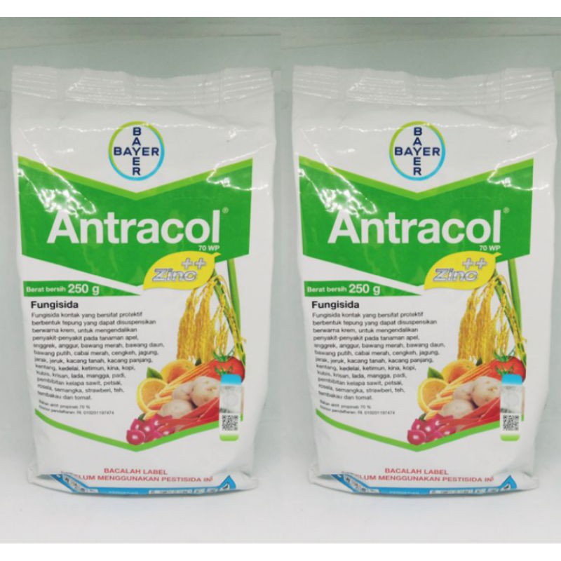 fungisida antracol 250gr