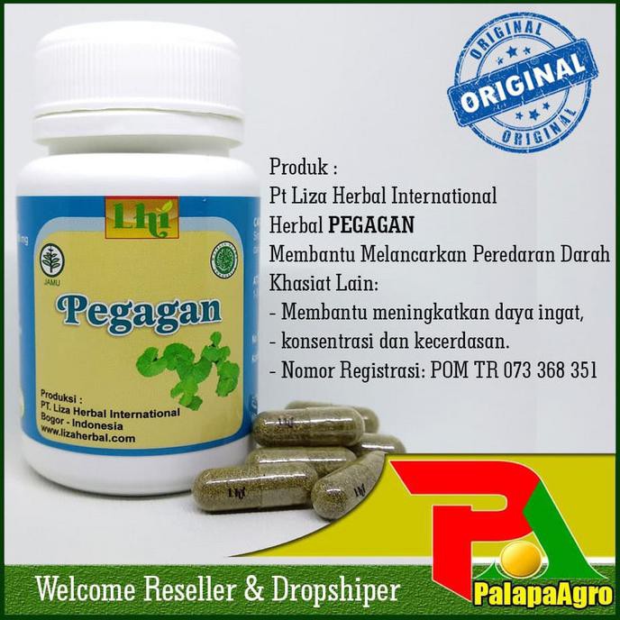 Monggo] Obat Meningkatkan Daya Ingat Dan Kecerdasan Herbal Pegagan Dr Liza