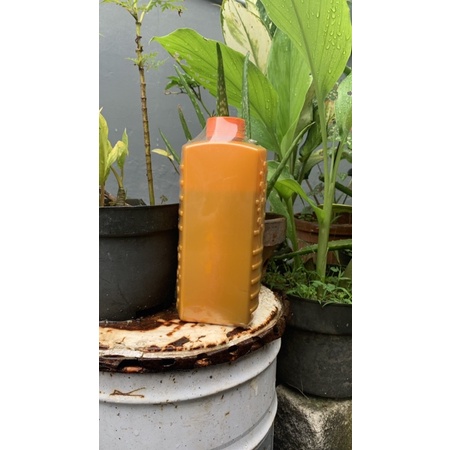 

Madu hutan jambi super isi bersih 1kg