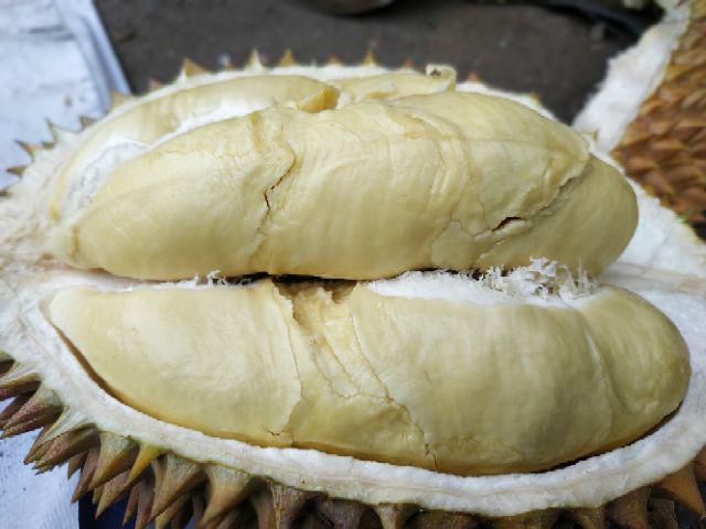 Kemeja Pria Lengan Panjang