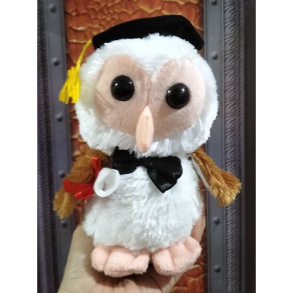 Boneka Wisuda Burung Hantu/Owl