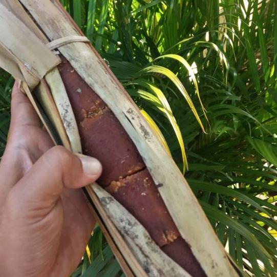 

Fla⚡H ⚡ale 7.7 Gula aren asli organik 1 kg harga bersaing