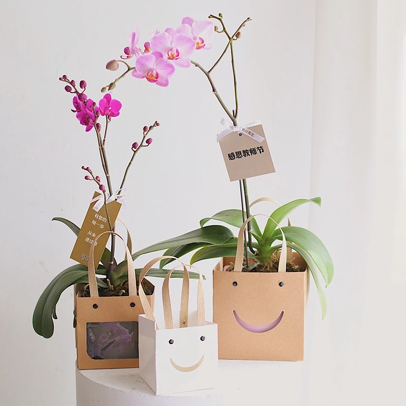 Creative Square Window Bag For Flower Gift / Simple Portable Kraft Paper Gift Bag