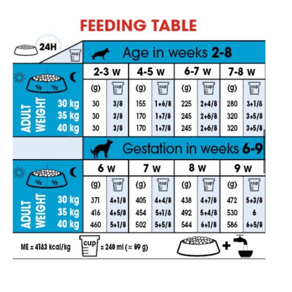 Royal Canin Maxi Starter Mother &amp; Baby Dog 4kg Babydog 4 kg RC Food