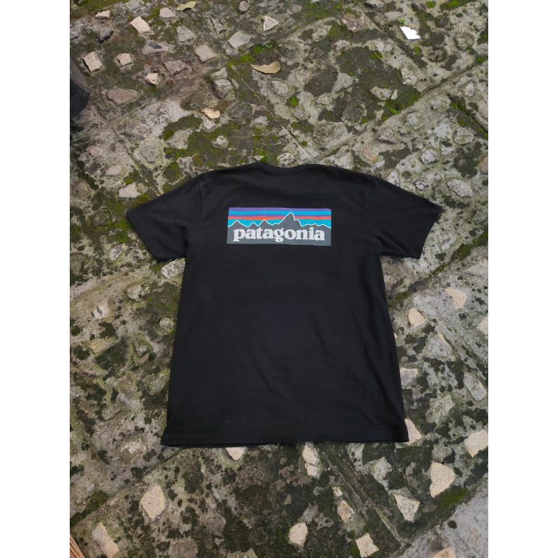 kaos bekas Patagonia