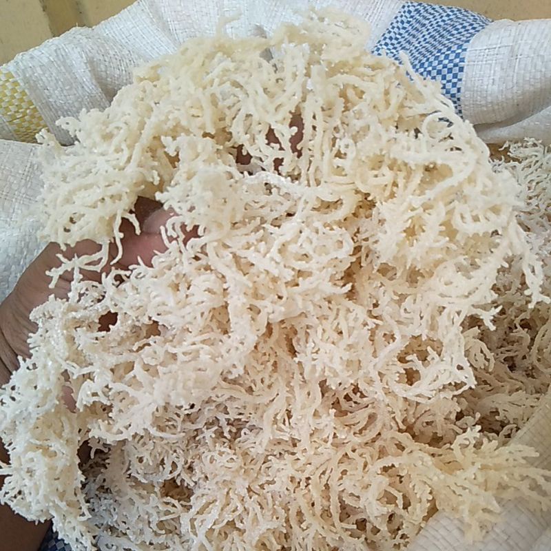 

Rumput Laut Kering Makanan Sehat Kemasan 1Kg