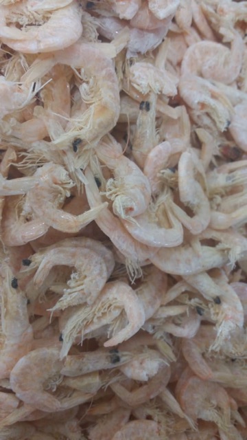 Udang Kering Medan 250gr