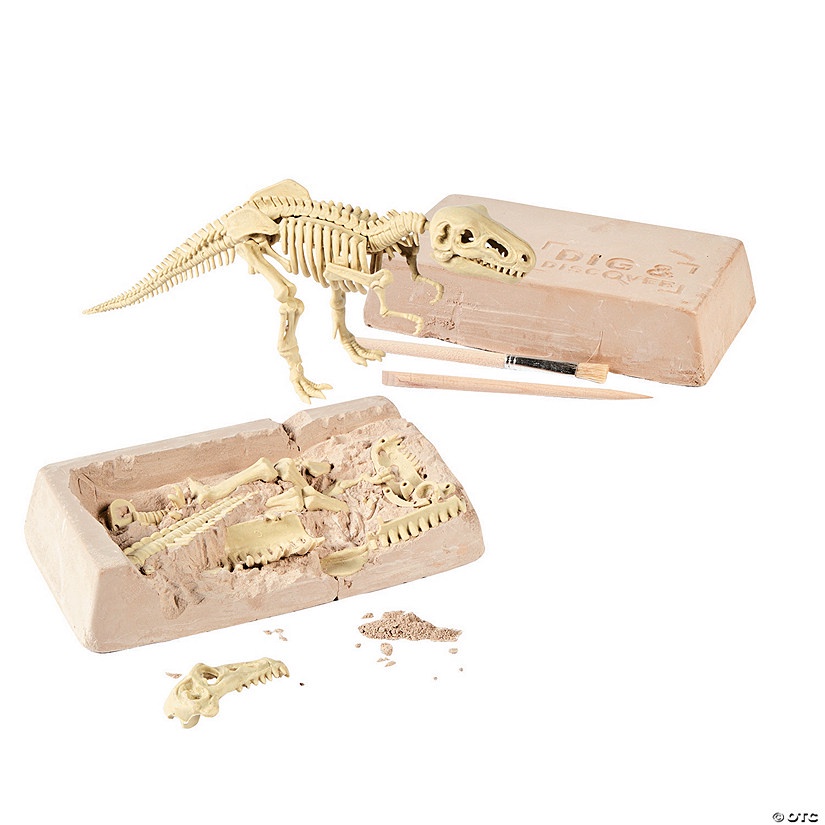 Mainan Edukasi Dinosaurus Fossil | Arkeologi Dino Fosil - Montessori - Dig a Dino Trex