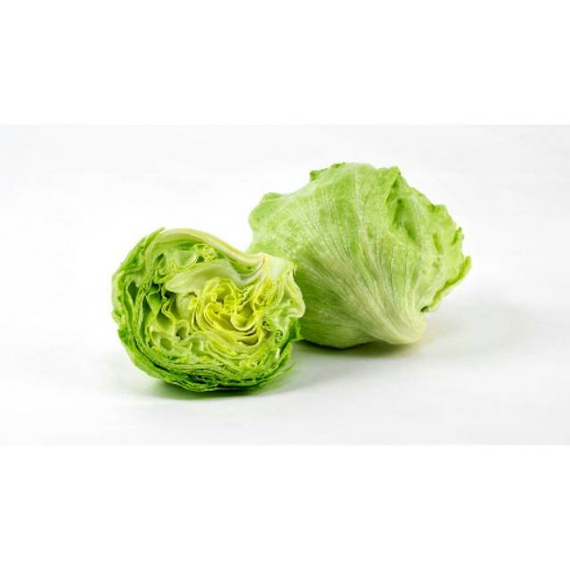 

Lettuce Head Organik 500 gr