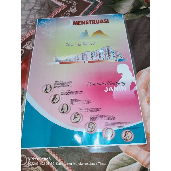 

Poster Menstruasi Laminating New 2022 Dan Banyak Poster Kebidanan Lainnya