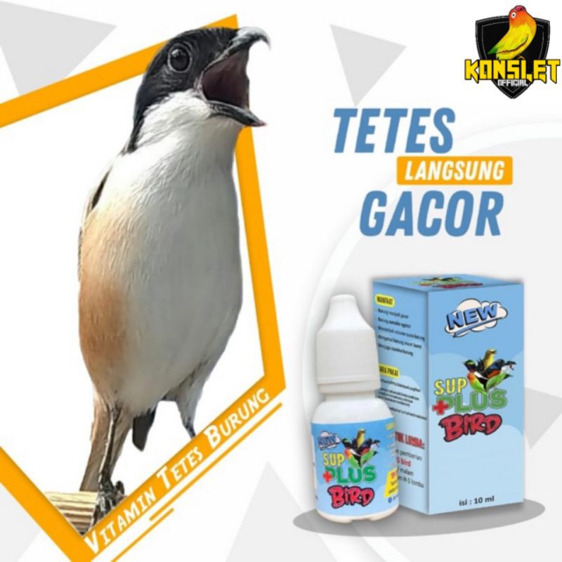 420 Gambar Burung Cendet Kartun HD Terbaru