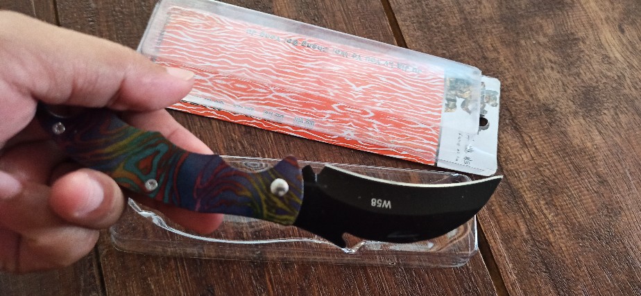 Pisau Dapur Pisau Outdoor Survival Folding Eagle Knife 165mm - W58