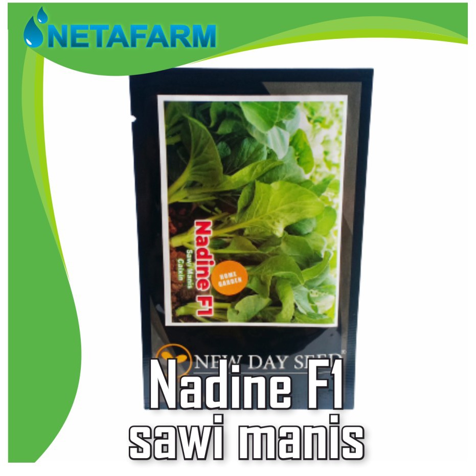 Biji / benih / bibit Sawi manis Caixin - Nadine F1- NDS ( 2 Gram )