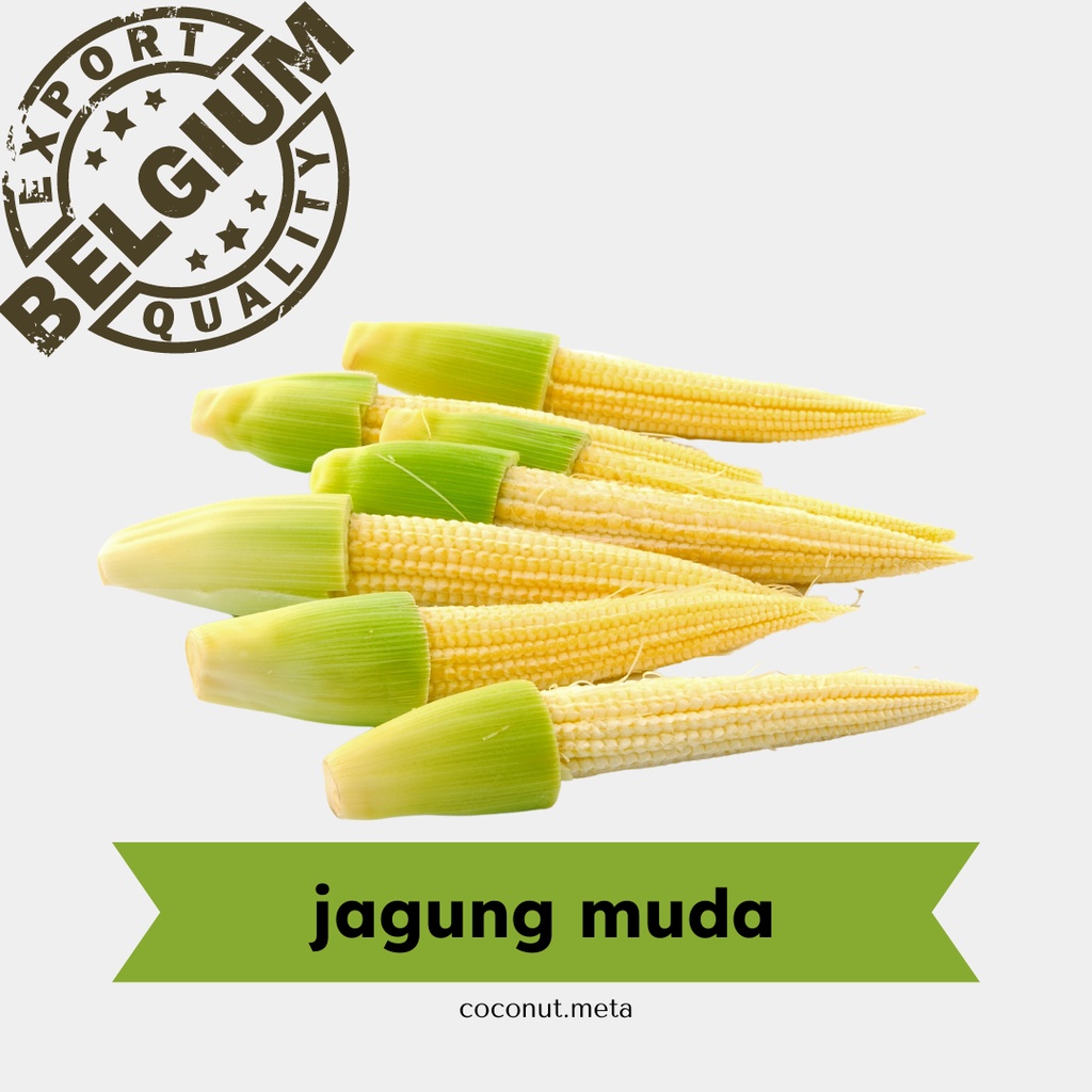 

Jagung Muda 250gr / Jagung Putren by Coconut Meta