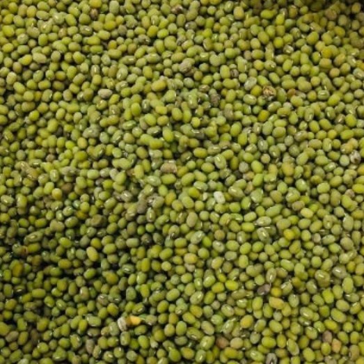 

KACANG IJO AUSTRALIA GREEN BEAN 250gr