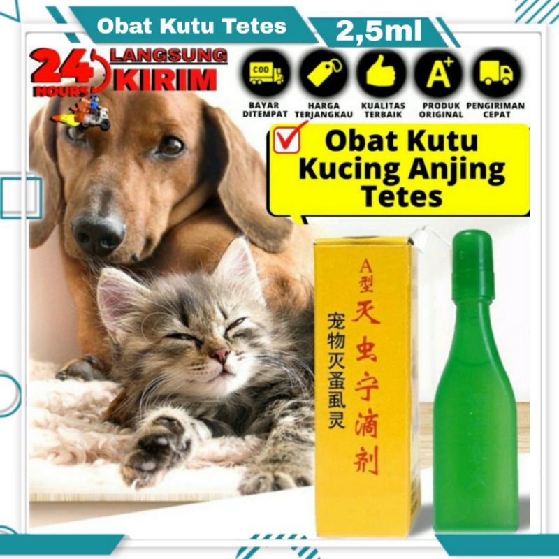 Obat Kutu Kucing Anjing Tetes Tengkuk ORIGINAL Premium Sama Seperti Detick