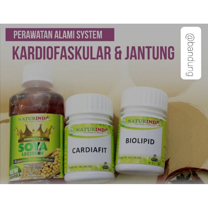 Paket Herbal Perawatan Jantung Naturindo
