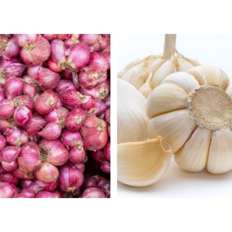 

bawang merah dan bawang putih