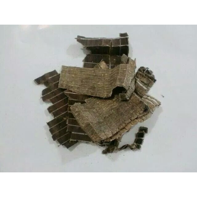 

300 G GR GRAM DU ZHONG EUCOMMIA BARK