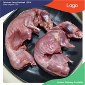 

Daging Marmut Karkas include kepala 1 ekor Fresh Frozen
