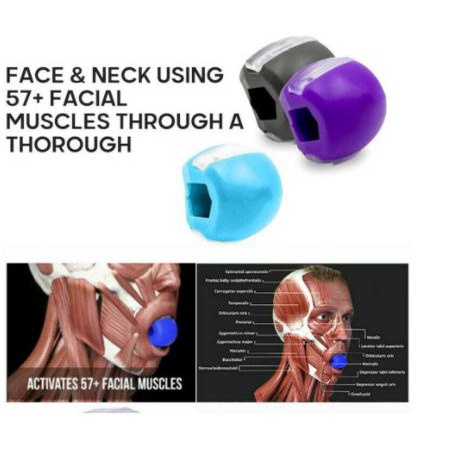 HOT PROMO Alat Peraga Masseter Jawzrsize Baru, Alat Peraga Mandibula .