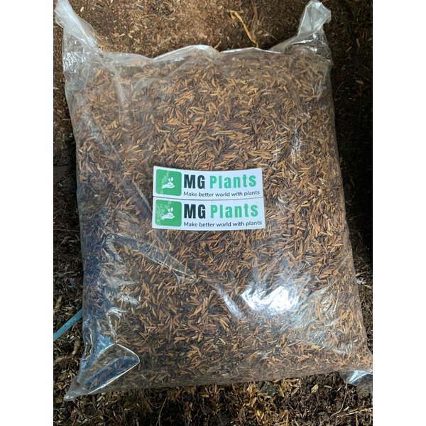 Media Tanam Sekam sangrai / sekam oven