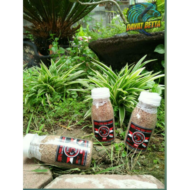 

Pelet Ikan. Pakan Ikan Baby shrimp 20gr