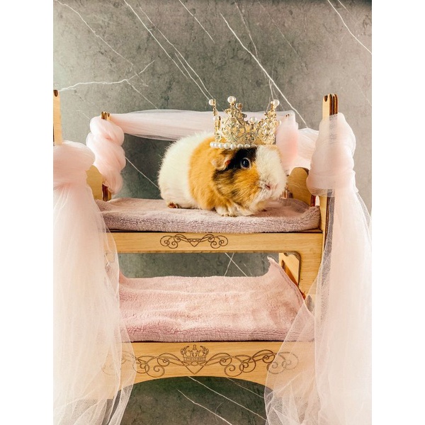 Double bed for guinea pig / marmut