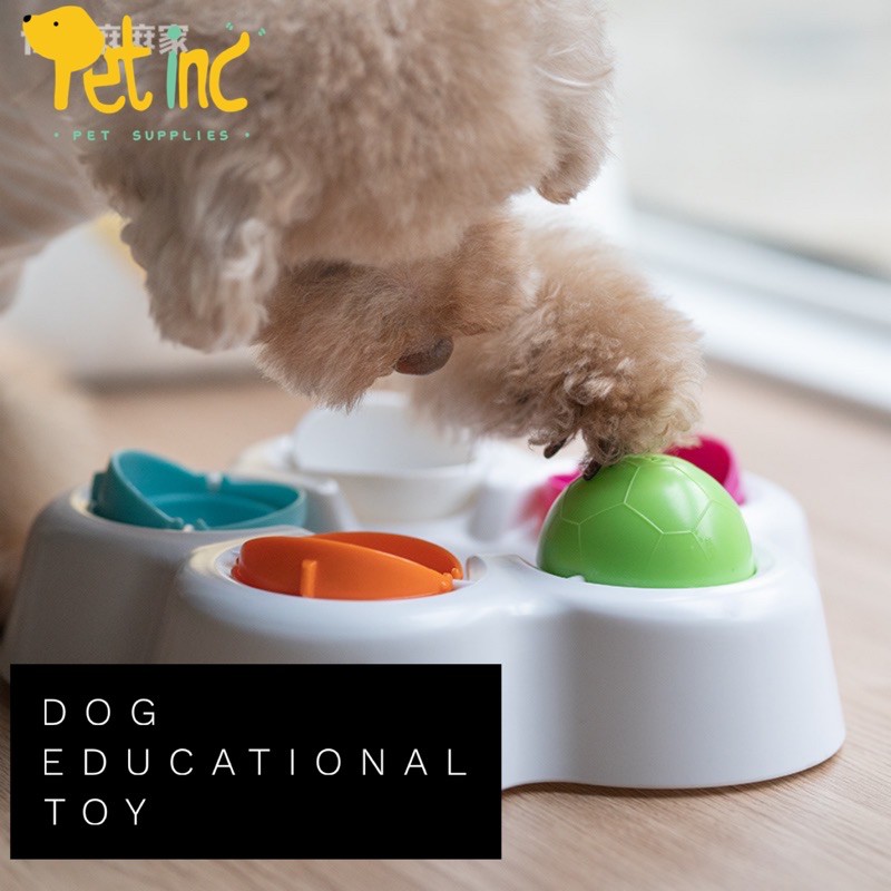 Intelligent dog educational toy