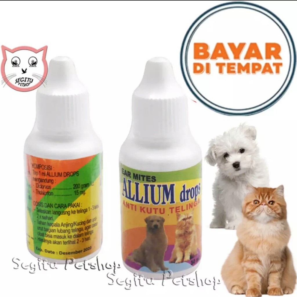 obat allium drop  pembersih telinga kucing anjing