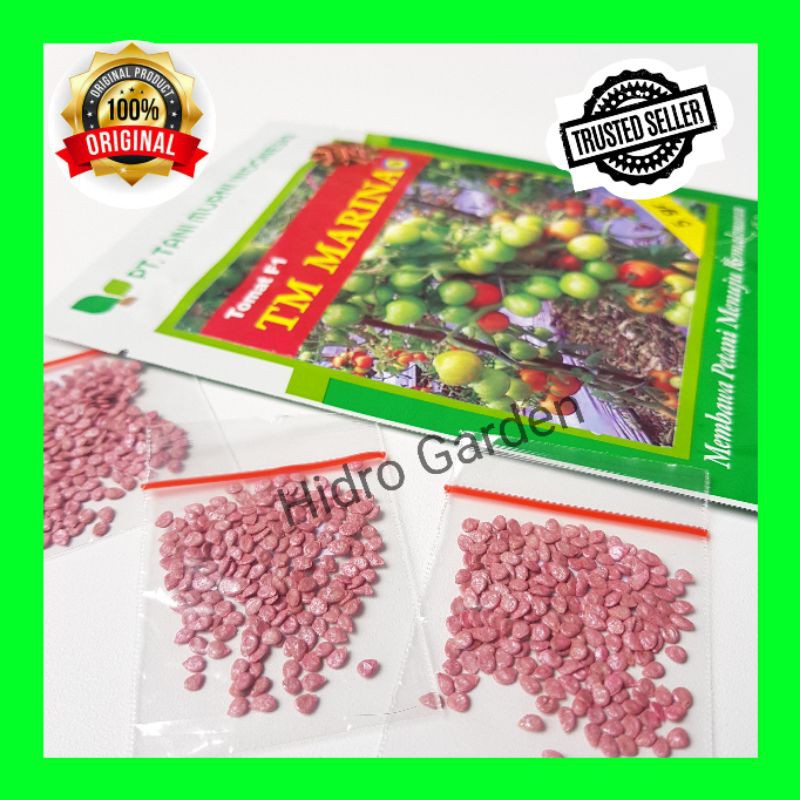 Benih / Bibit Tomat F1 TM Marina Tani Murni 200 biji Repack