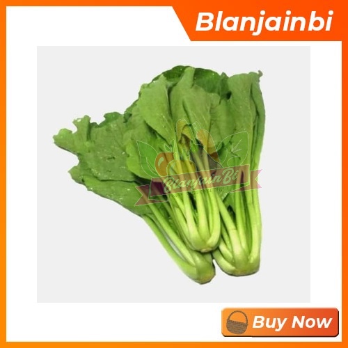 

Sawi Hijau / Caisim Bandung Area