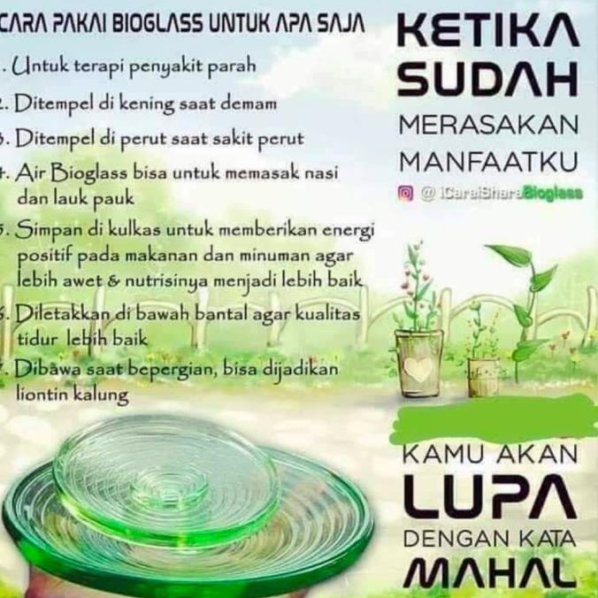 bioglas mci