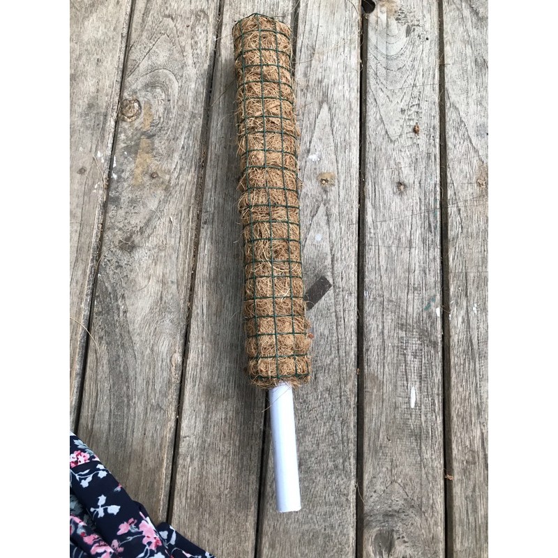 turus/rambatan bunga tinggi 30cm