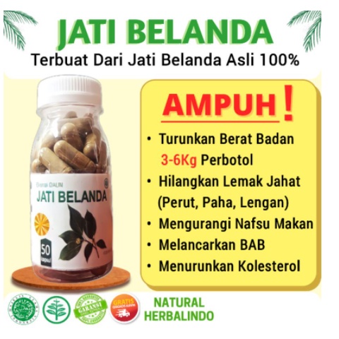 

jati belanda kapsul diet obat pelangsing ampuh herbal detox kolesterol susut lemak perut langsing 50