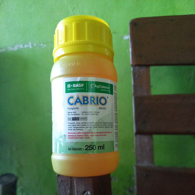 FUNGISIDA CABRIO 250 ML